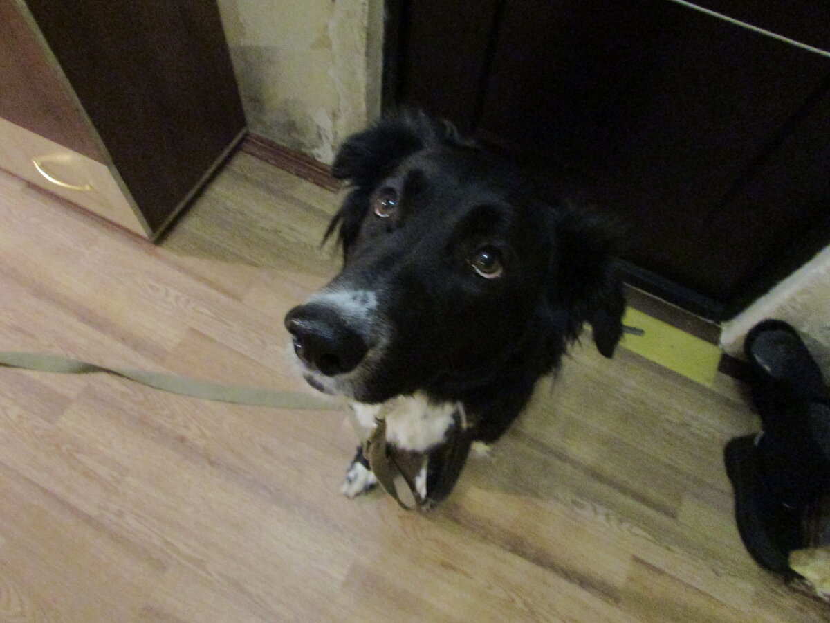 Люди, а можно я дома посижу, а?..