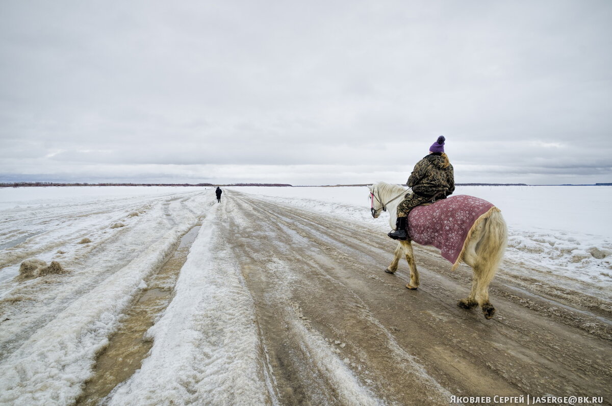 Лошадь переправа