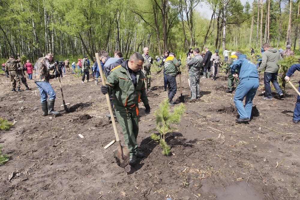  В первом общегородском субботнике, который состоялся в Туле 13 апреля, приняли участие около 25 с половиной тысяч   жителей.