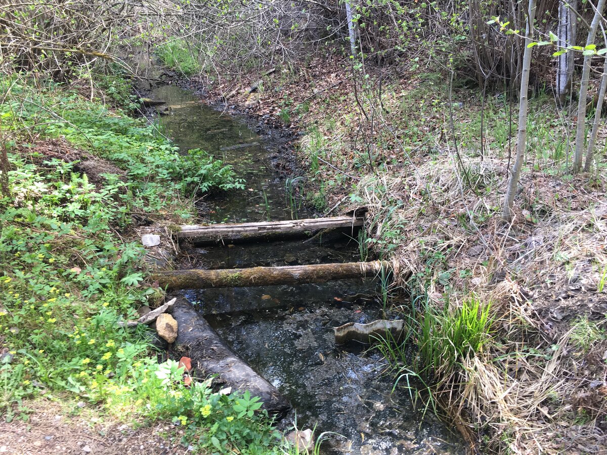Вода была грязная – и тогда, и сейчас.  Это видно на фото