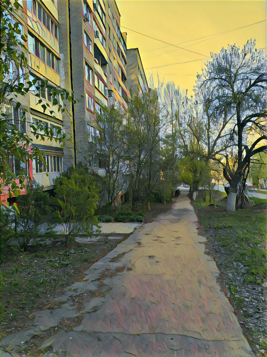 По дороге в парк.