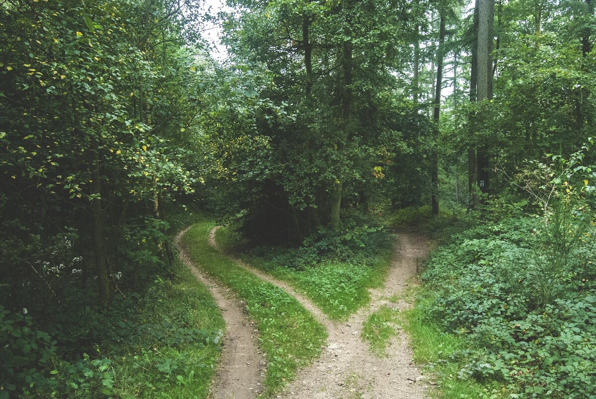 (фото с https://pixabay.com, не факт, что эти тропы есть на картах)