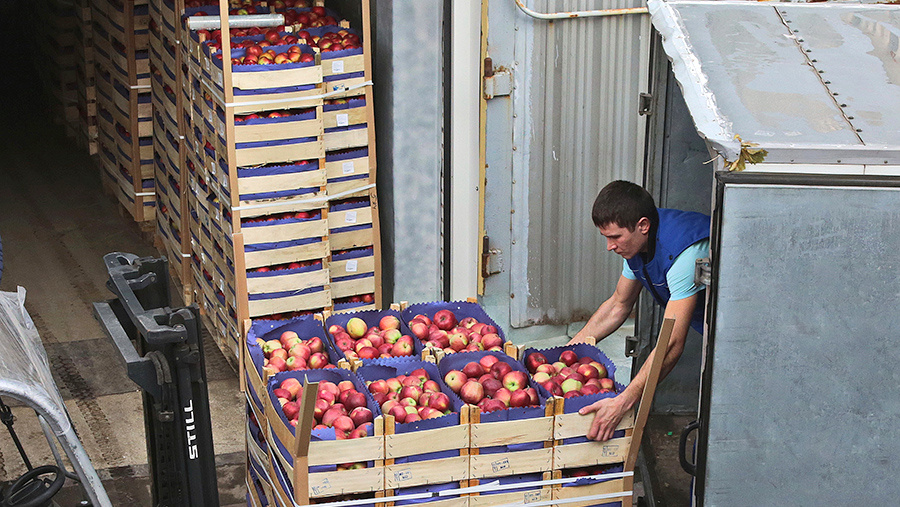 Фото: ТАСС/Интерпресс/Светлана Холявчук