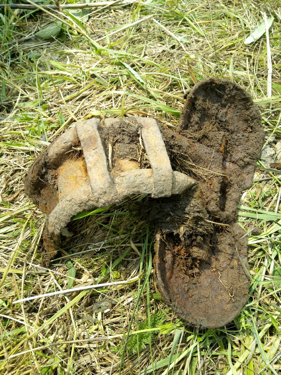 Ископаемая сидёлка.