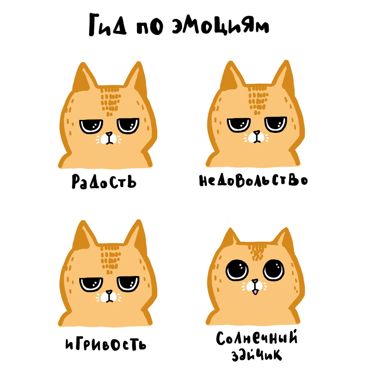 Обычное состояние Белки — это презрительный взгляд. Иногда, когда ей это нужно, он превращается во взгляд самого несчастного создания на этой планете.