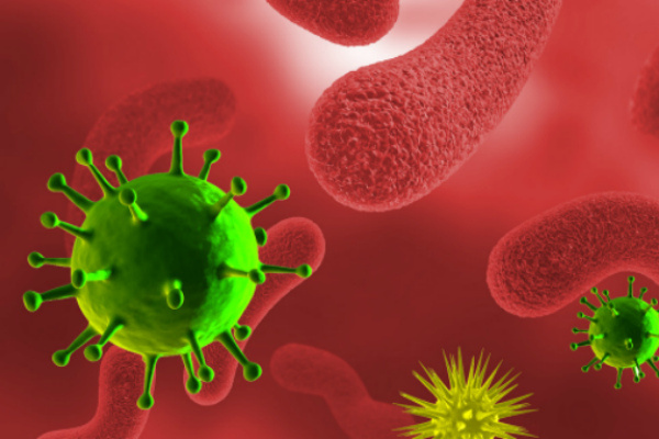 Источник: https://yandex.ru/images