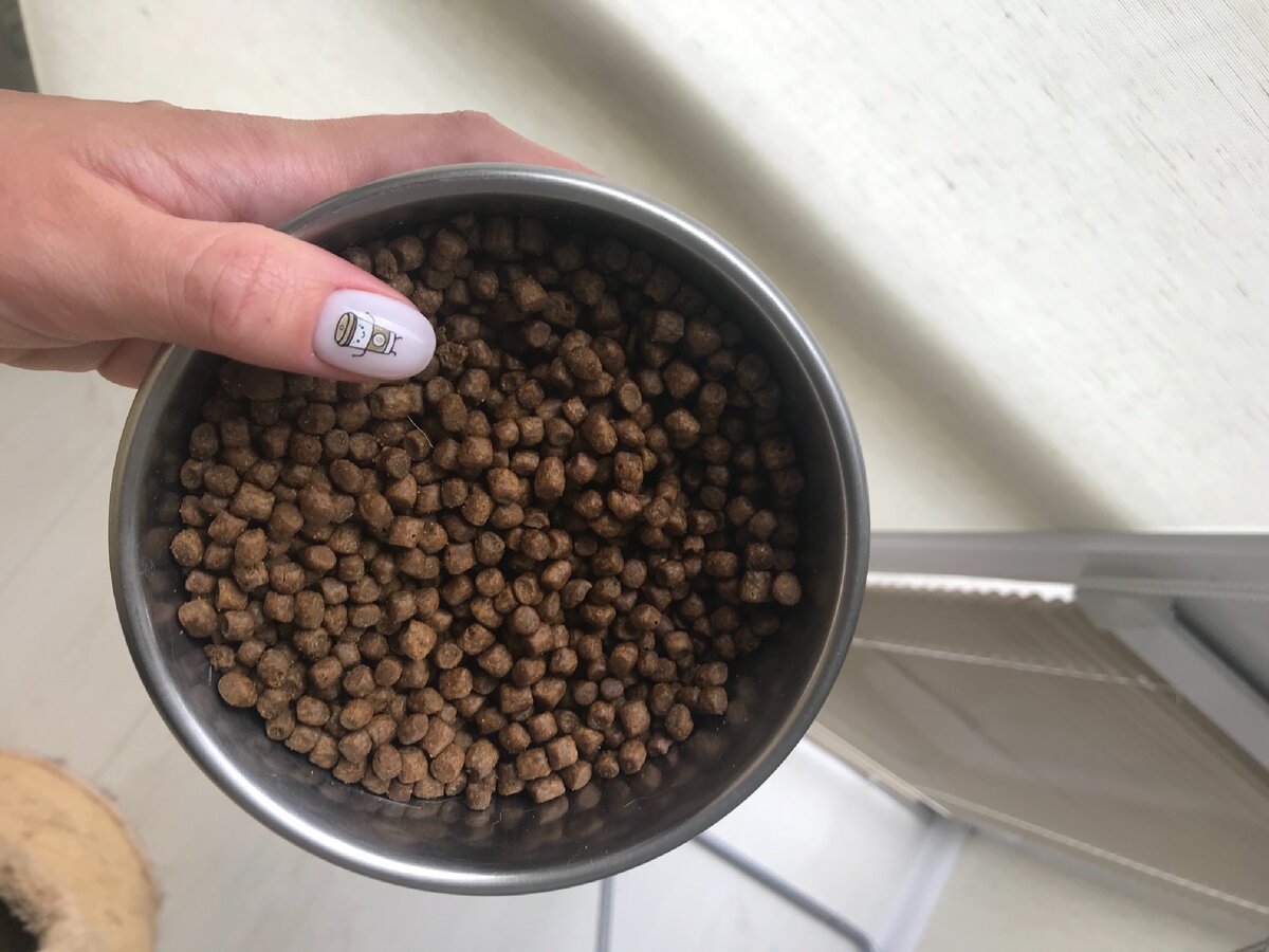 Сухой корм Go - очень удобный для котиков размер гранул 