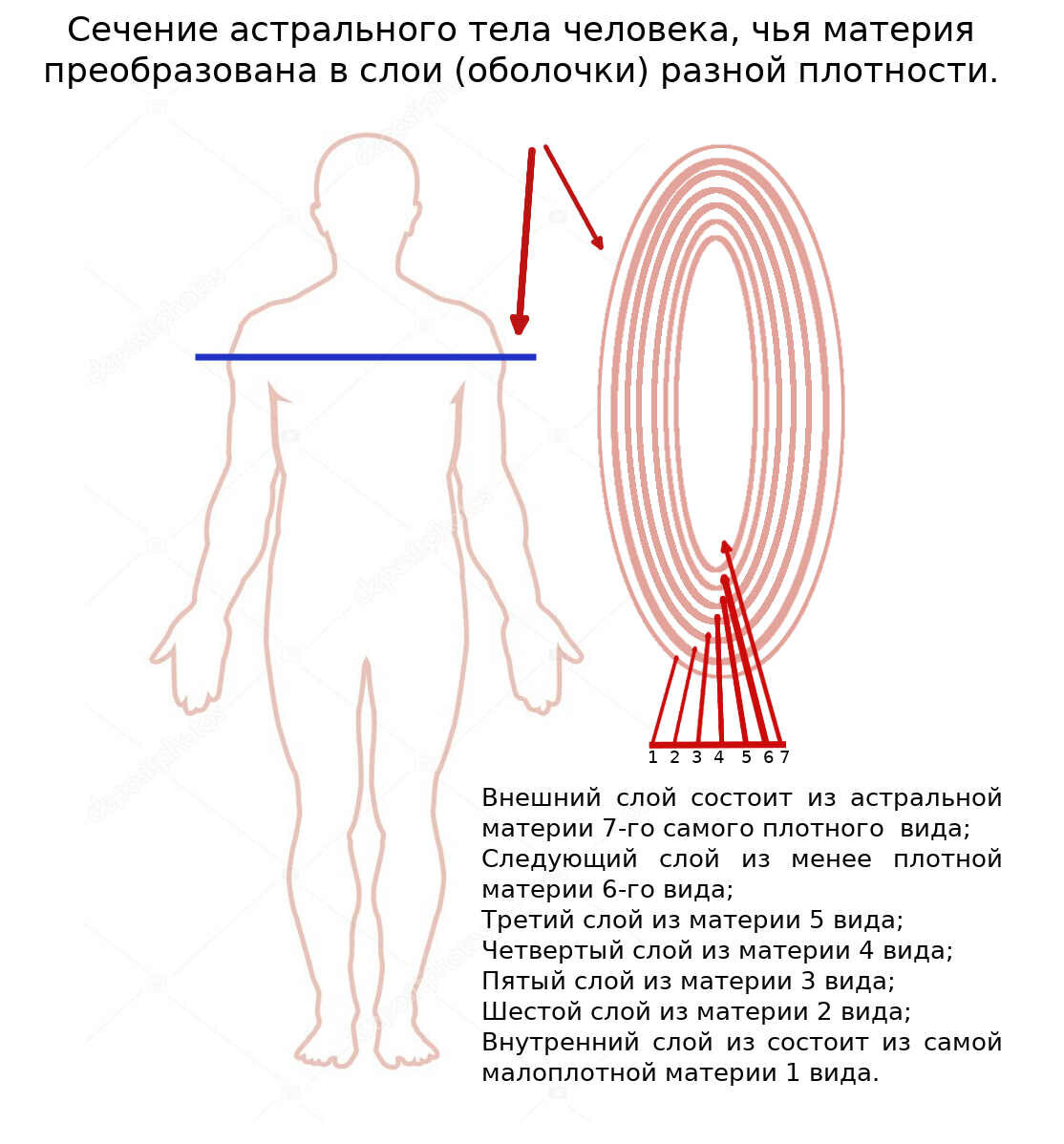 Тонкие тела человека. Астральное тело-2ч