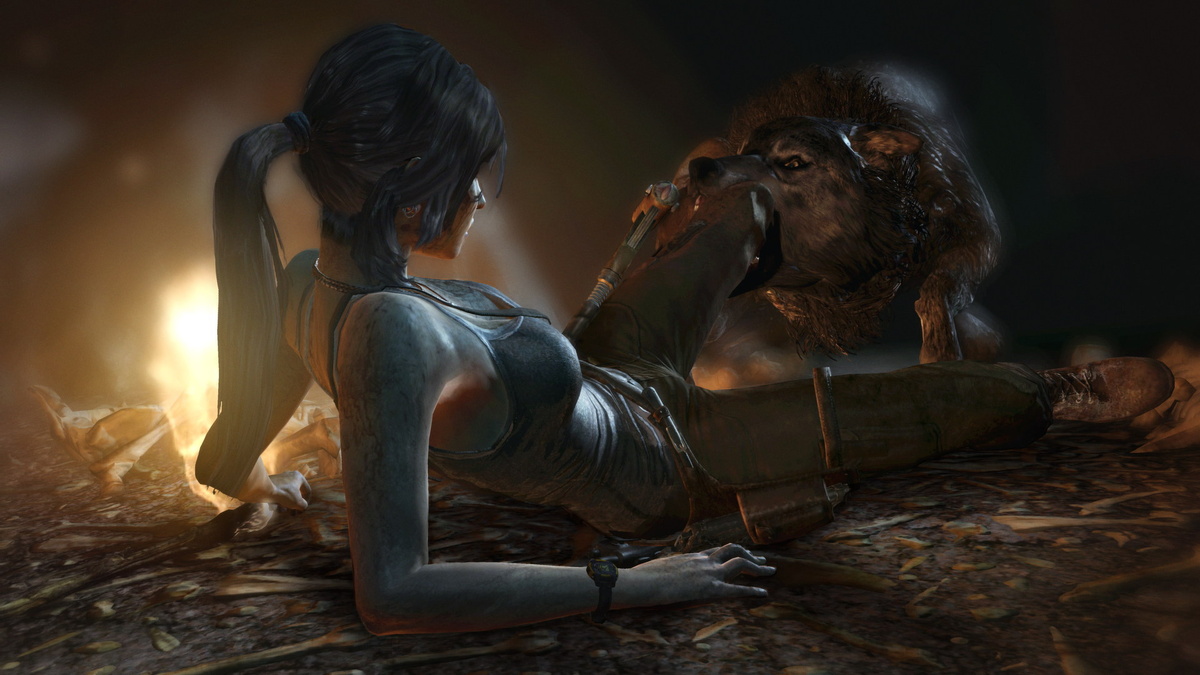 Tomb Raider (2013)