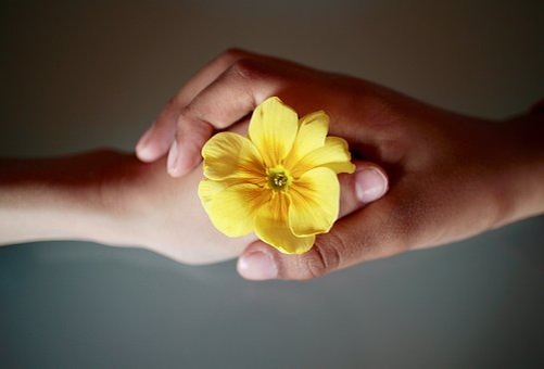 https://cdn.pixabay.com/photo/2017/03/25/08/52/brotherhood-2173097__340.jpg