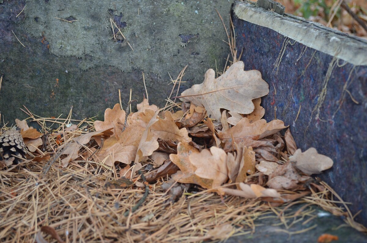 Осенние зарисовки со старой дачи