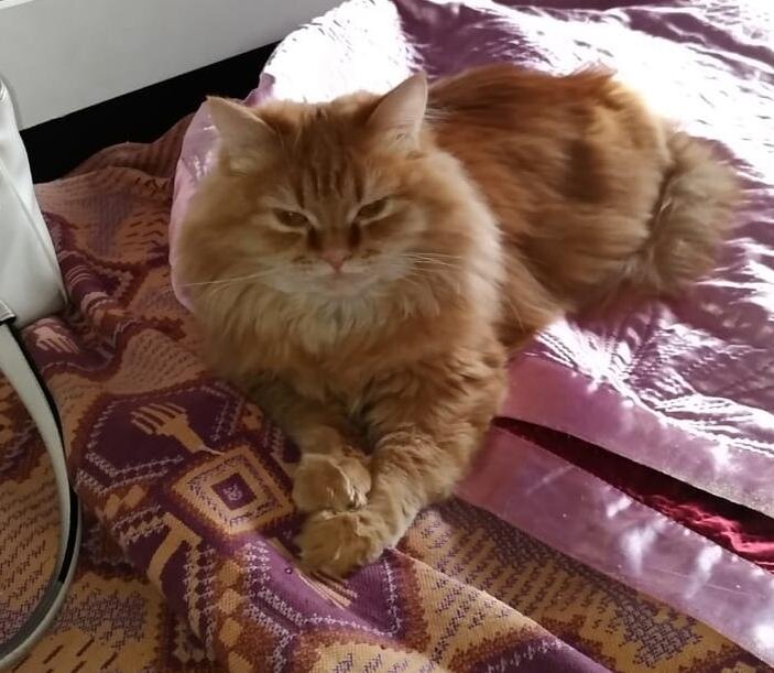 Вот, опять прилёг
 