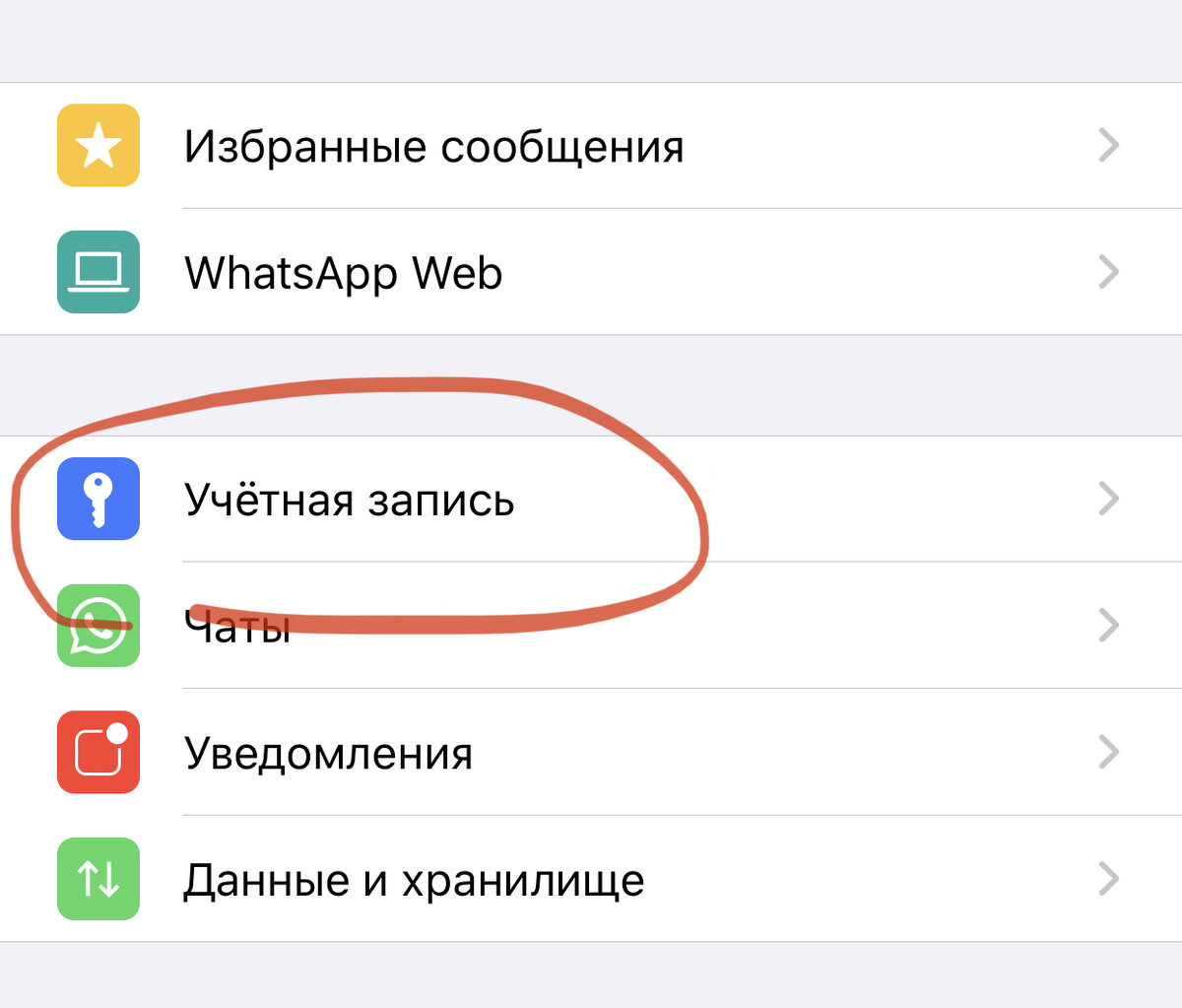 Как в ватсапе скрыть время посещения. Как в ватсап скрыть время последнего посещения. Как скрыть время посещения в whatsapp. Спрячьте время. Скрыть время посещения в whatsapp.