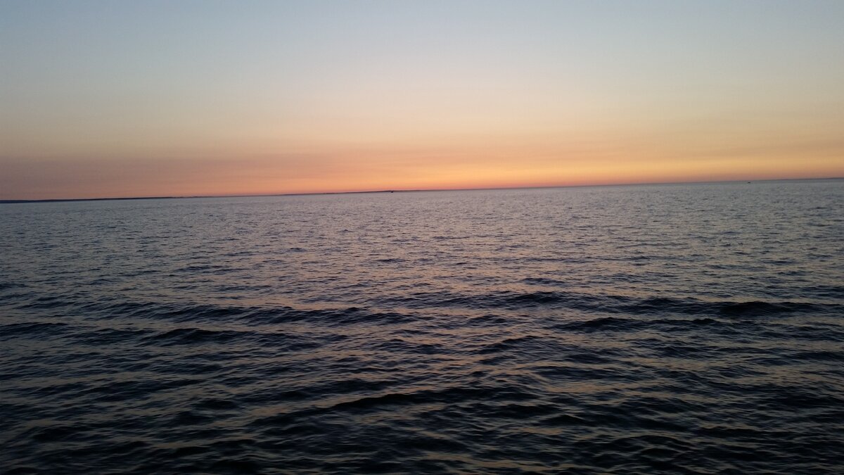 Кто  на самом деле квартирный рейдер?