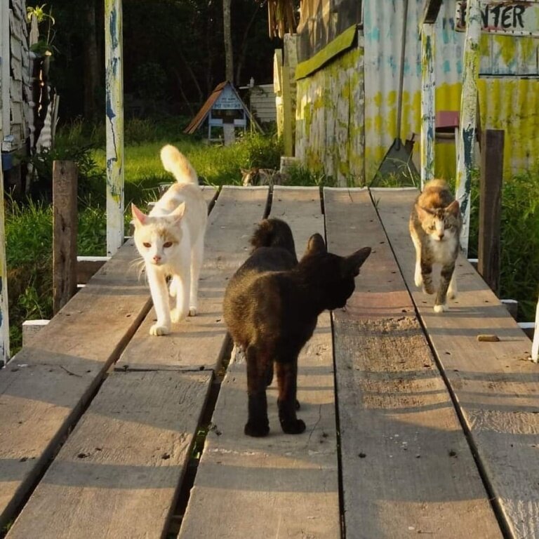 Источник: Facebook