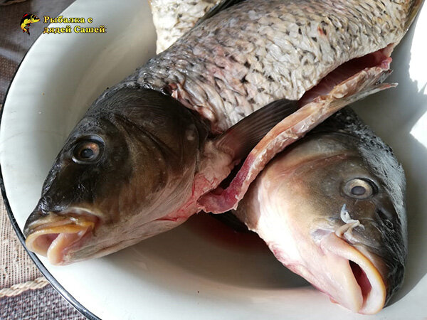 Сазанчики для приготовления вкусных котлет