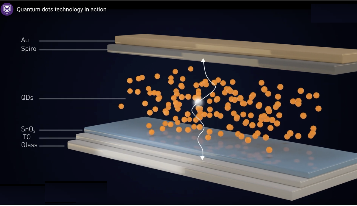 Фотография взята с сайта Квинслендского университета uq.edu.au