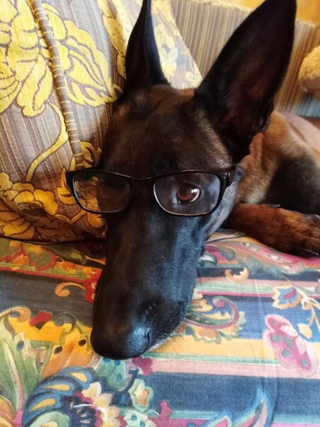 Настало время доброй истории.