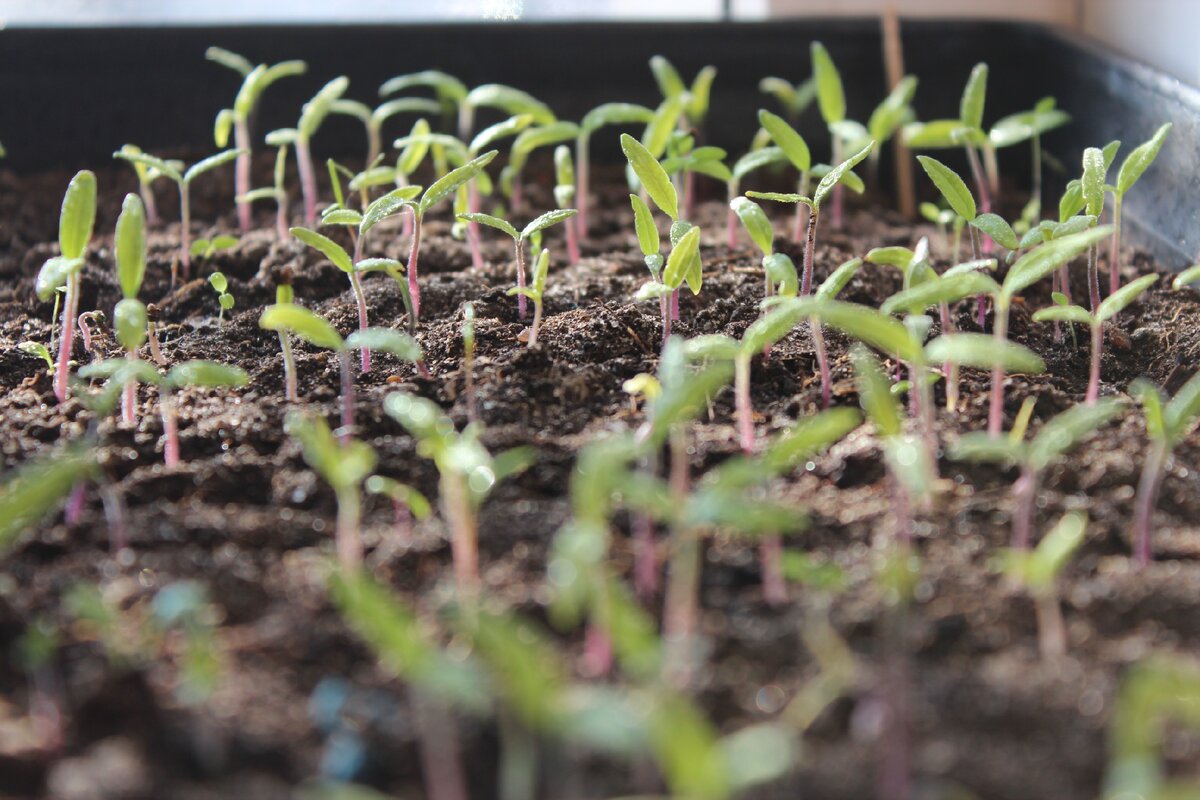 Начинаем закаляться (фото из личного архива)