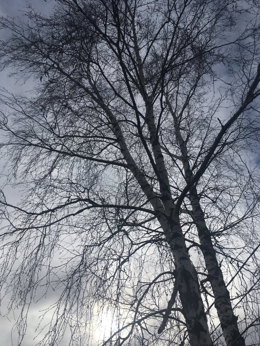 Целиком она, к сожалению, не влезла в кадр.