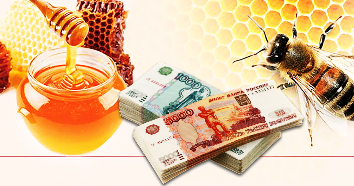 Мёд – всему голова: как заработать на пчеловодстве?