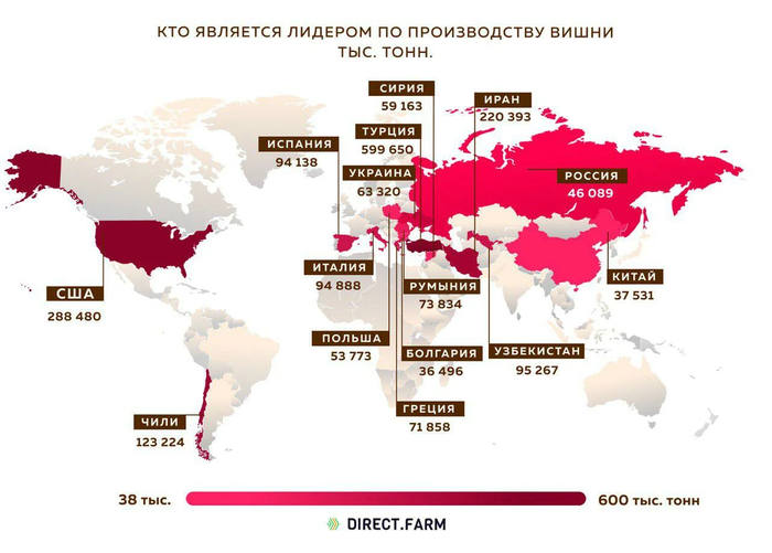 Источник: www.direct.farm  