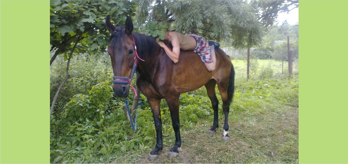 Рада. Фото автора