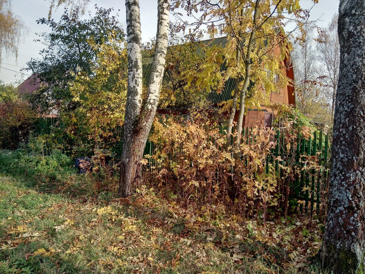 Фото автора. Маленький, но очень уютный дачный домик.