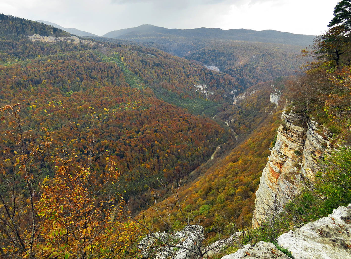 Осенний лес Мезмай Орлиная полка