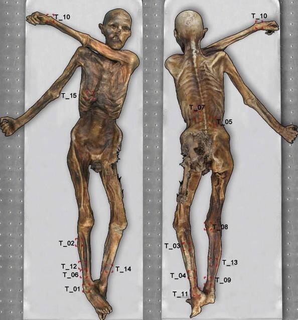 30 лет назад - 19 сентября 1991 года - в Альпах была случайно обнаружена самая древняя мумия Европы. Ее нашли два немецких туриста-альпиниста, супруги по фамилии Симон, и сообщили куда следует.-6