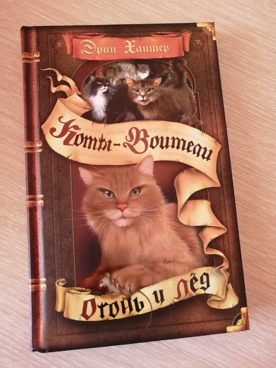 Коты Воители. Эрин Хантер. 1 цикл. | Дмитрий Пугачев | Дзен