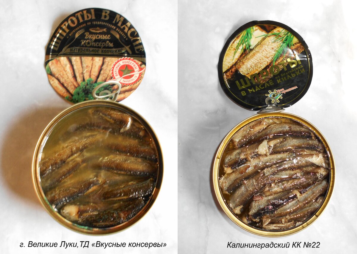 Шпрот калининград сайт. Шпрот калининград сайт