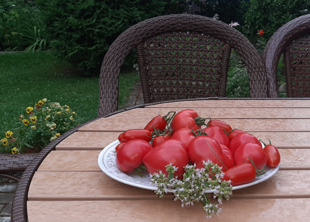 фото автора. 