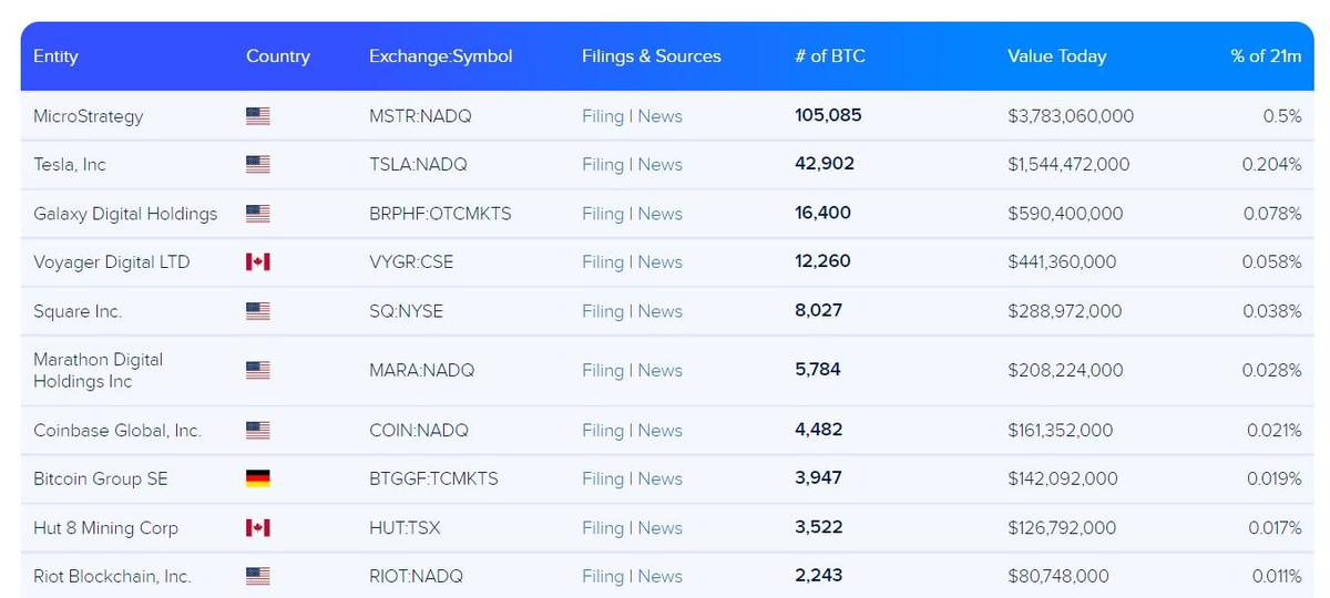 Топ-10 крупнейших инвесторов BTC среди публичных компаний. Источник: buybitcoinworldwide.com