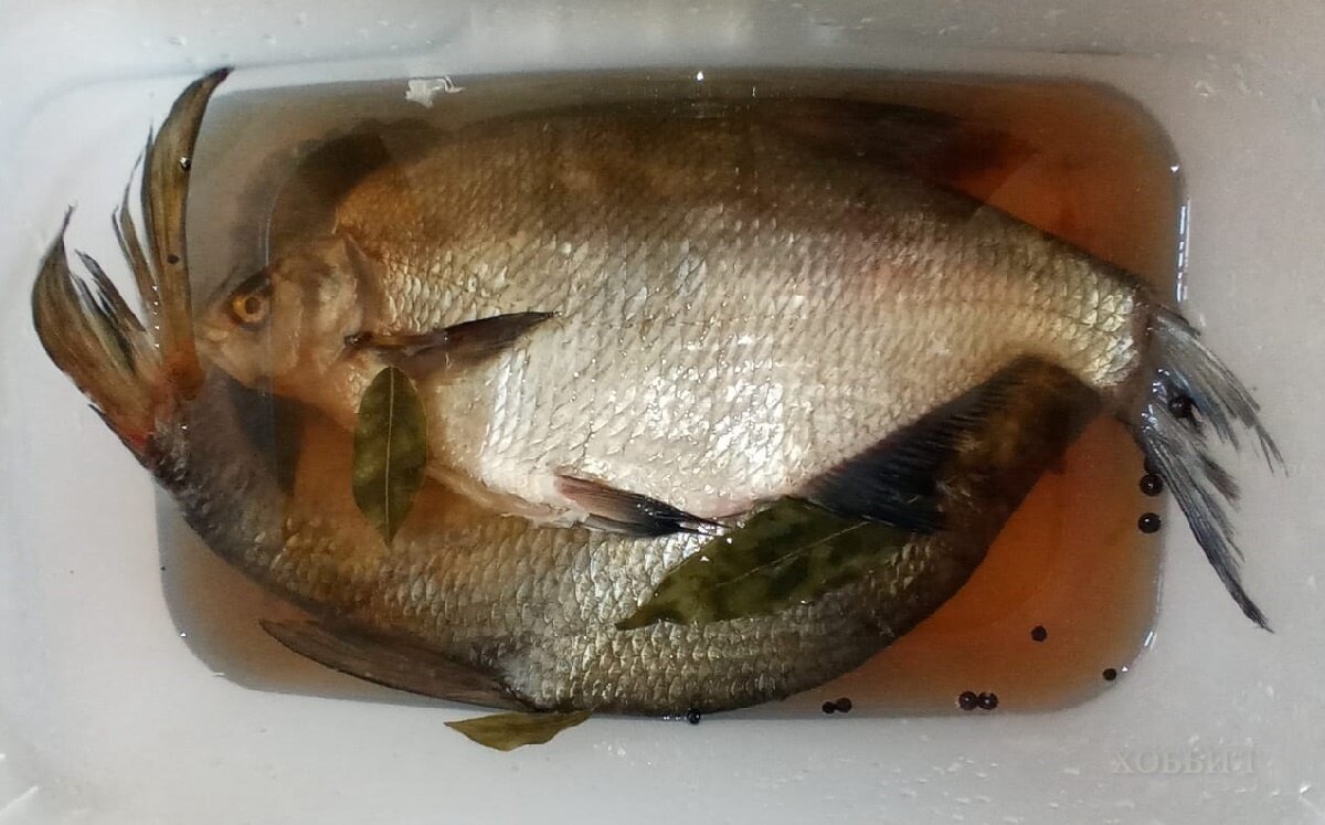 Лещ в маринаде для горячего копчения