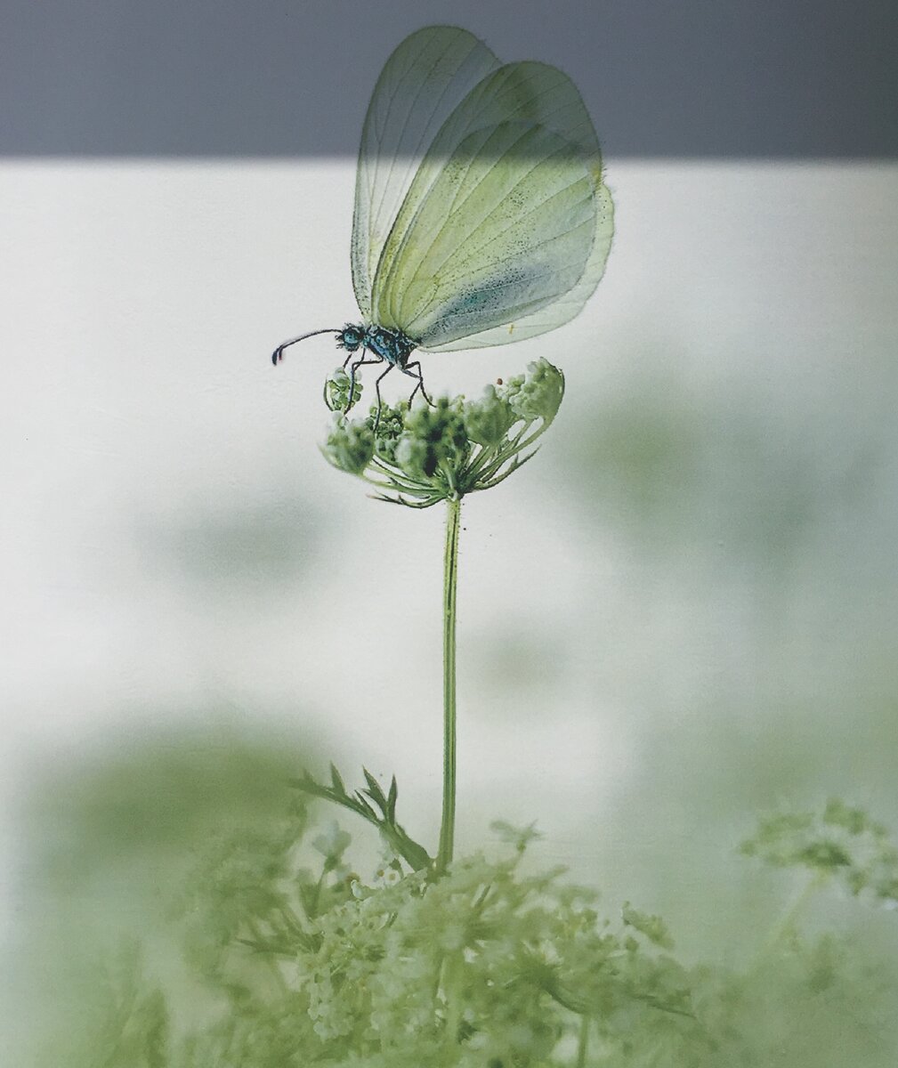  Когда-то великий Данте создал свою Божественную комедию. Шаг за шагом, ведомый Вергилием, он прошел весь потусторонний мир, в который попадают человеческие души. Каждой душе там находилось свое место. Был ад, чистилище и рай. И куда ты попадешь, всецело зависело от прожитой жизни.