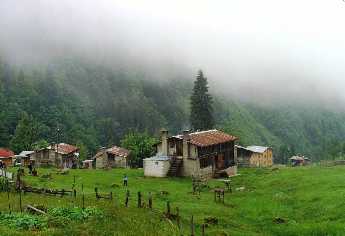 Pokut Турция