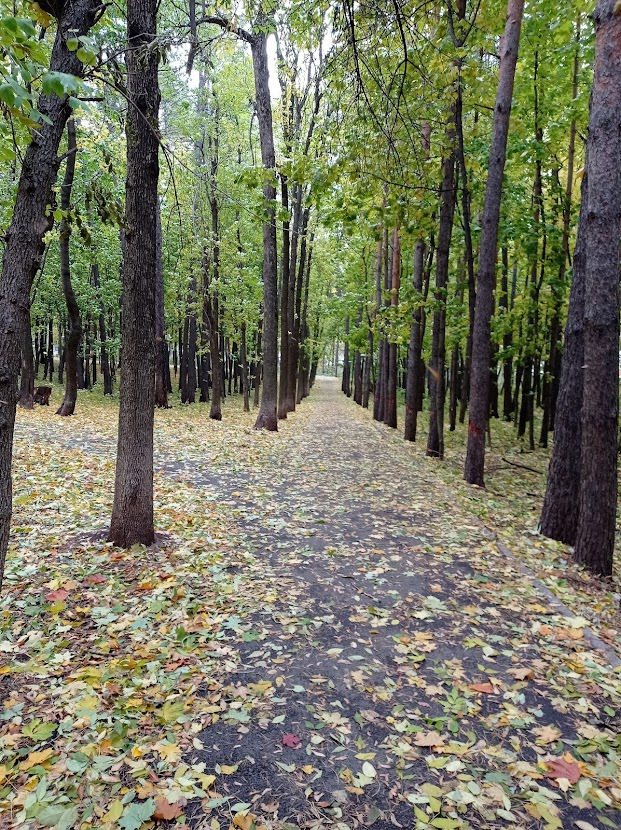 Фото автора. Прекрасная осень