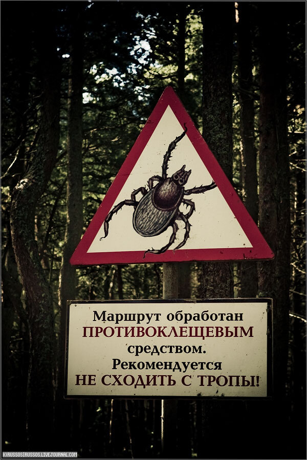 Ахтунг! Клещи!