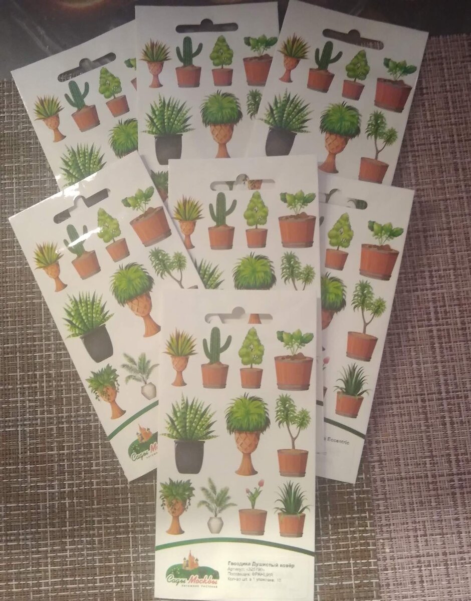                                                                                                                                       Смотрим. Пакеты  все фирменные, с названиями сортов, но без фотографий  растений. Это семена  Эхинацеи махровой и Гвоздики травянки. 