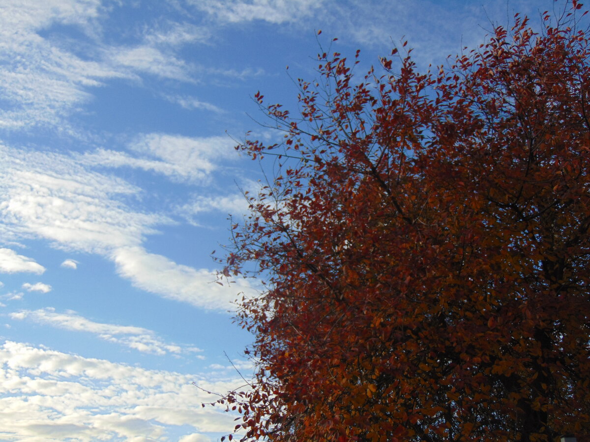 Фото автора канала