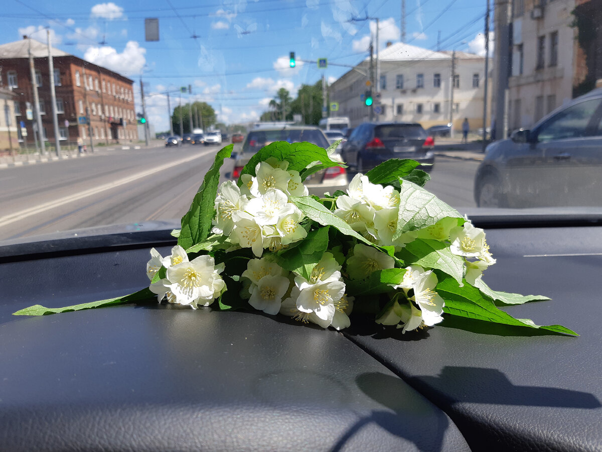 Жасмин расцвел, у нас два куста огромных во дворе дома)))