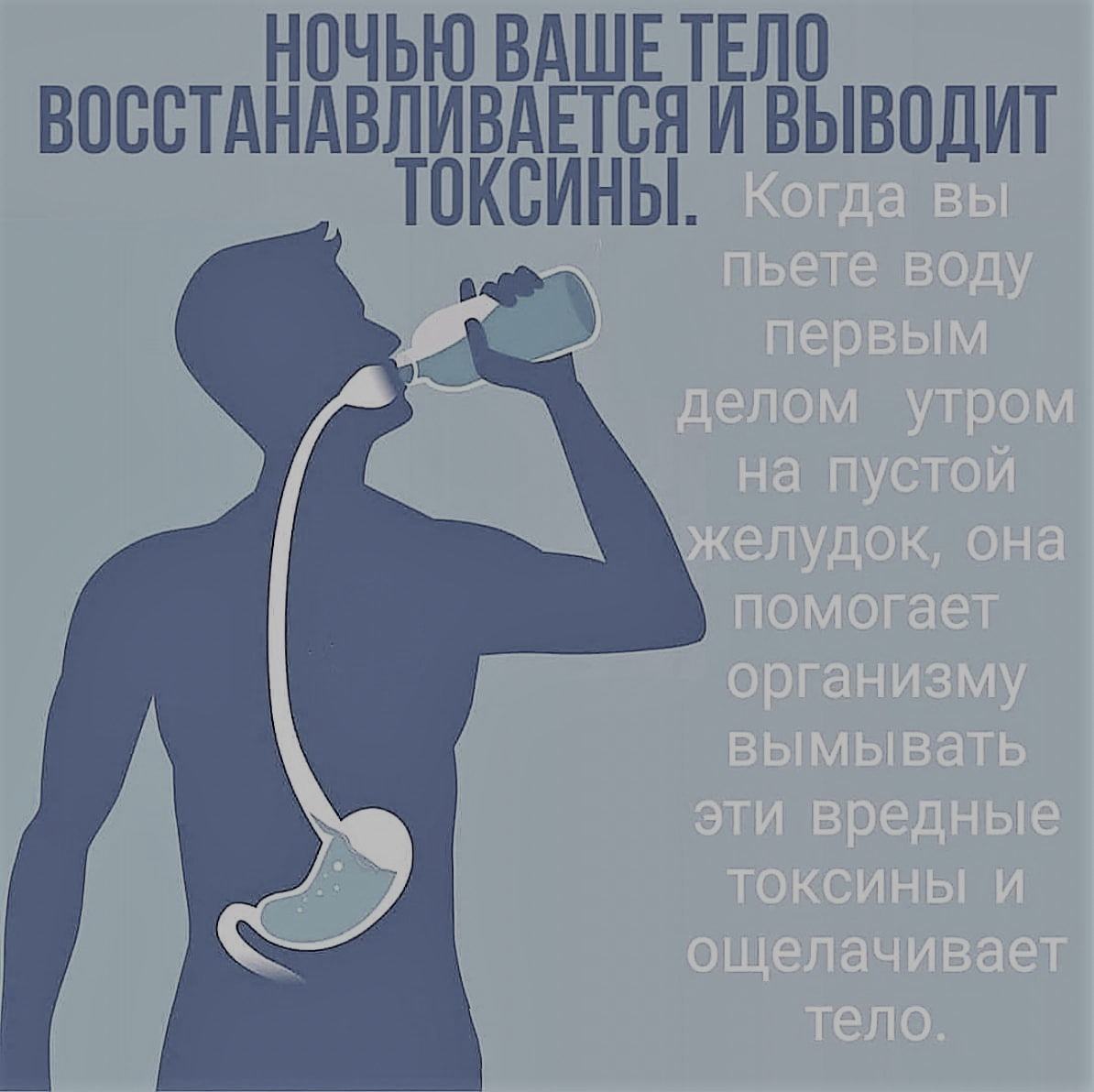 ОЧИЩЕНИЕ ОРГАНИЗМА. С ЧЕГО НАЧАТЬ? | Сбалансированное питание, похудение,  коррекция фигуры. | Дзен