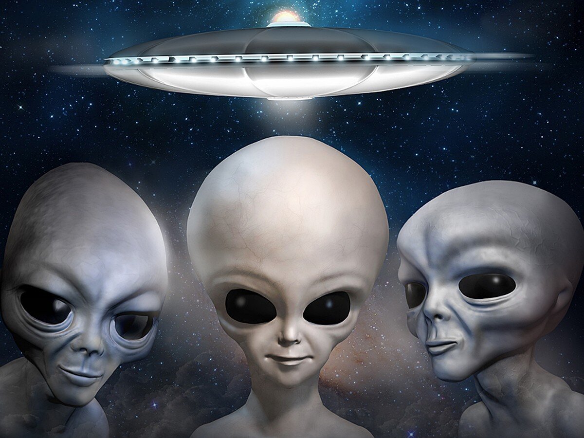 Незваные гости. Фото из Яндекс картинки.