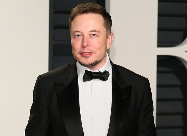 фото взято из открытых источник dzen.ru