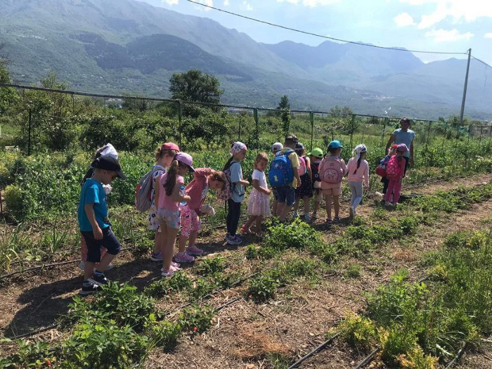 Экскурсия группы из детского сада Dukley по огороду Андрея. Фото Ларисы Егоровой.