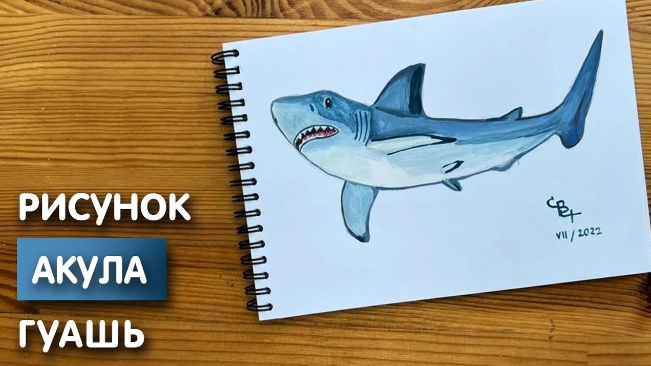 Как нарисовать акулу - поэтапная инструкция для начинающих