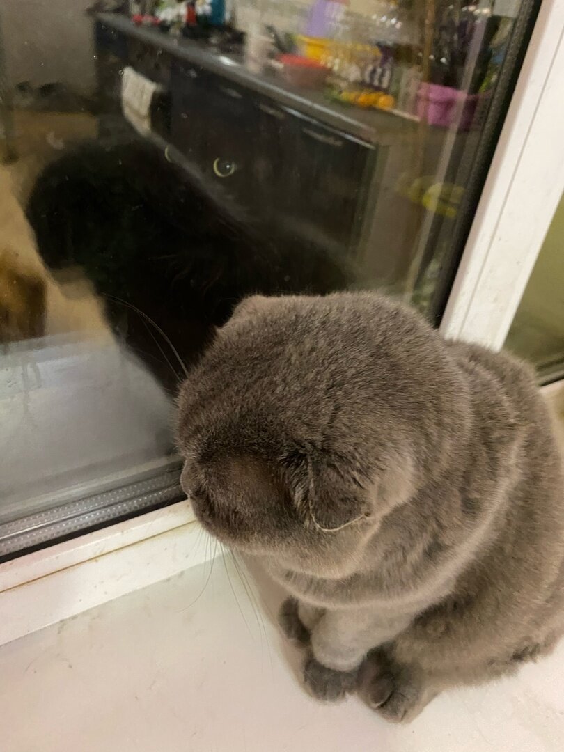 Наша. И ничего не знаю. Так судьба сложилась.