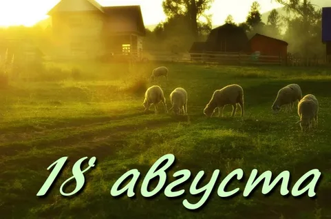18 августа