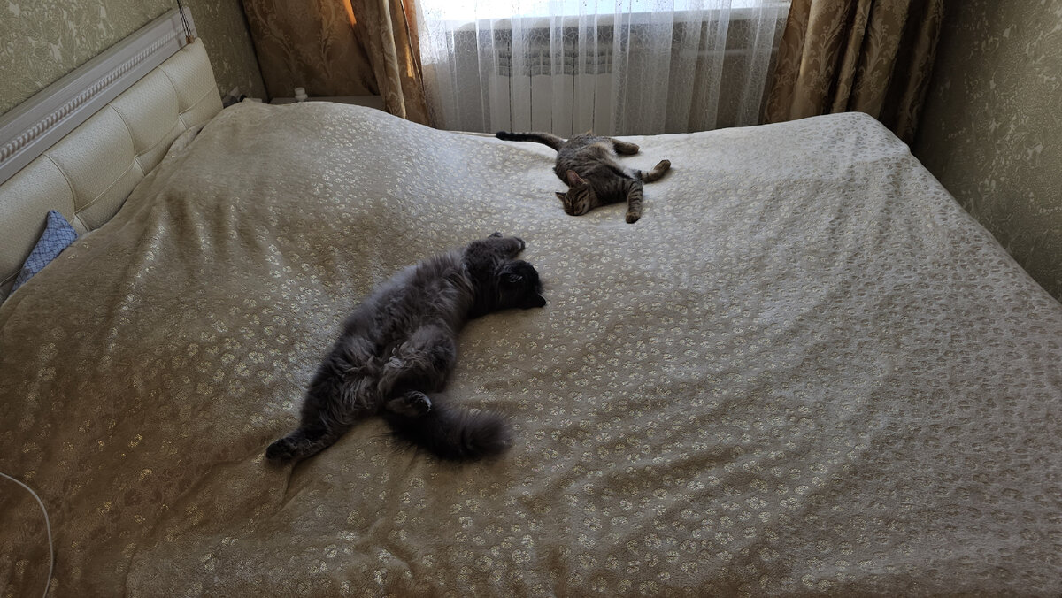 Спят после бурной бурной ночи...